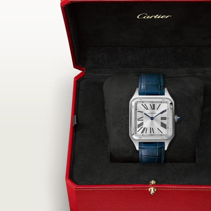 🌹 CARTIER SANTOS-DUMONT 🌹
